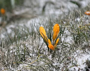 Циклон принесе опади - оновлений прогноз на середу