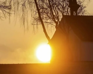 В Україні 8 березня справжня весна: синоптики обіцяють теплу та сонячну неділю