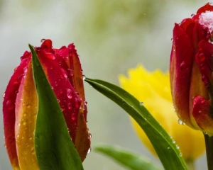 Синоптики оновили прогноз на п'ятницю