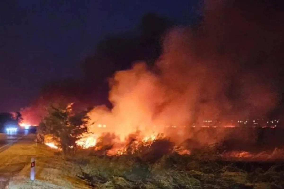 Майже добу вирує пожежа на відомому російському курорті: полум'я видно з космосу